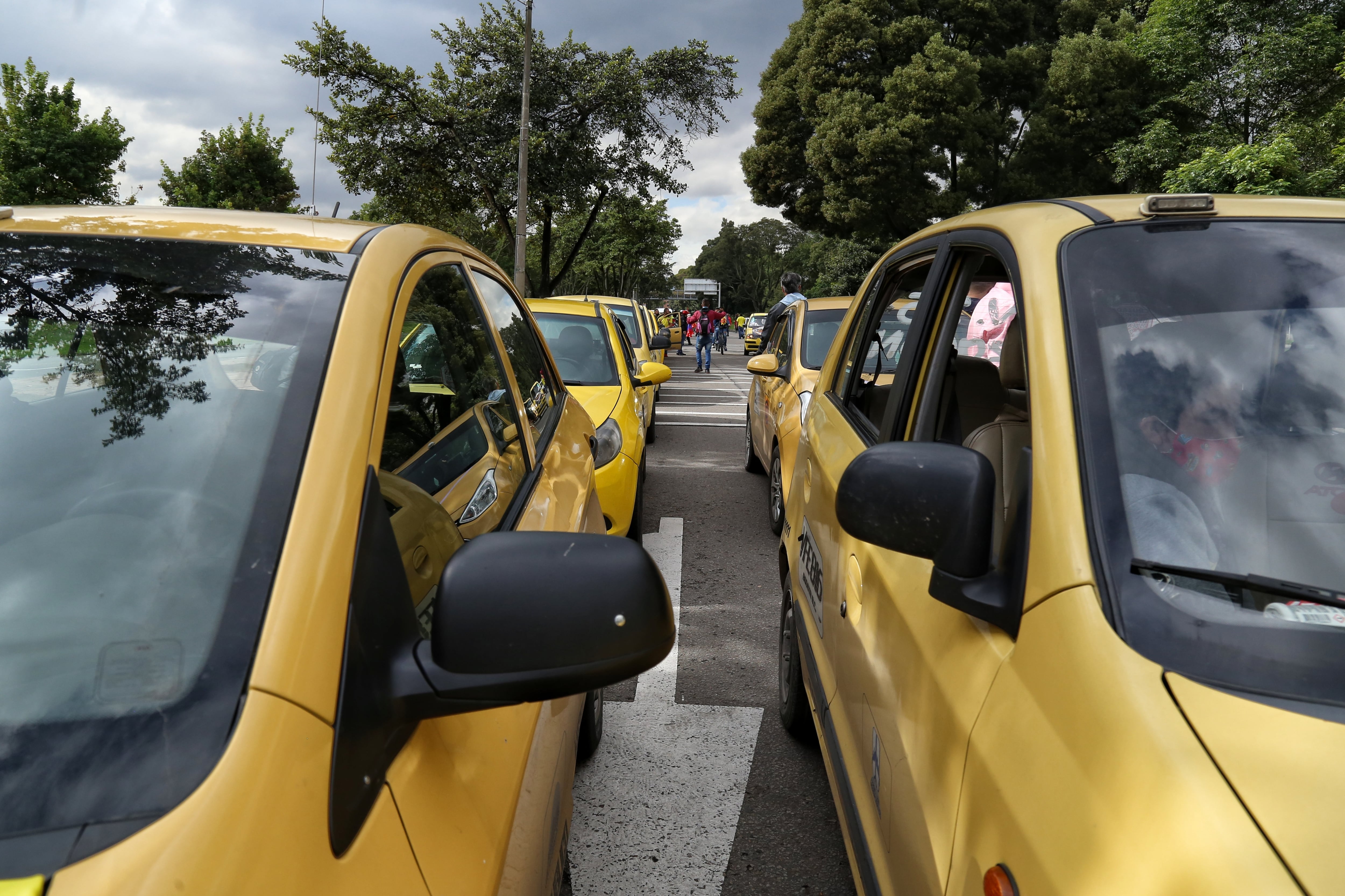 El gremio de taxistas propuso que la licencia de conducción en Colombia sea vitalicia y elimine la renovación periódica - crédito Colprensa