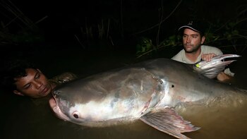 El redescubrimiento del “fantasma del