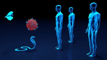 El Malbrán confirmó la presencia