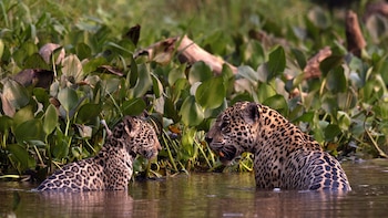 Día Mundial de los Humedales: