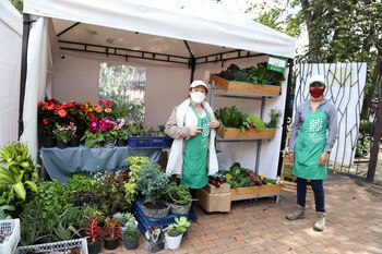 ‘Bogotá es mi huerta’, la