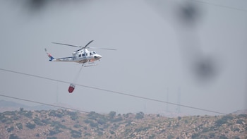 Reino Unido pide a nacionales seguir las instrucciones de las autoridades locales ante el incendio en Almería