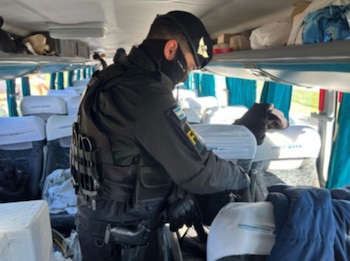 Un agente de seguridad uniformado con barbijo e insignia inspecciona los asientos y el equipaje dentro de un autobús de pasajeros