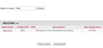 En el registro mercantil con fecha de diciembre del año pasado aparece que su actividad principal (9602) que es “peluquería y otros tratamientos de belleza" - crédito @SaavedraMDavid/X