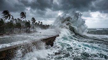 Olas de gran tamaño chocan contra un muro de concreto en una playa con palmeras inclinadas bajo un cielo con nubes oscuras.