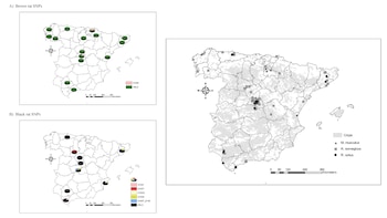 Las áreas donde se han detectado la presencia de ratas en la península Ibérica