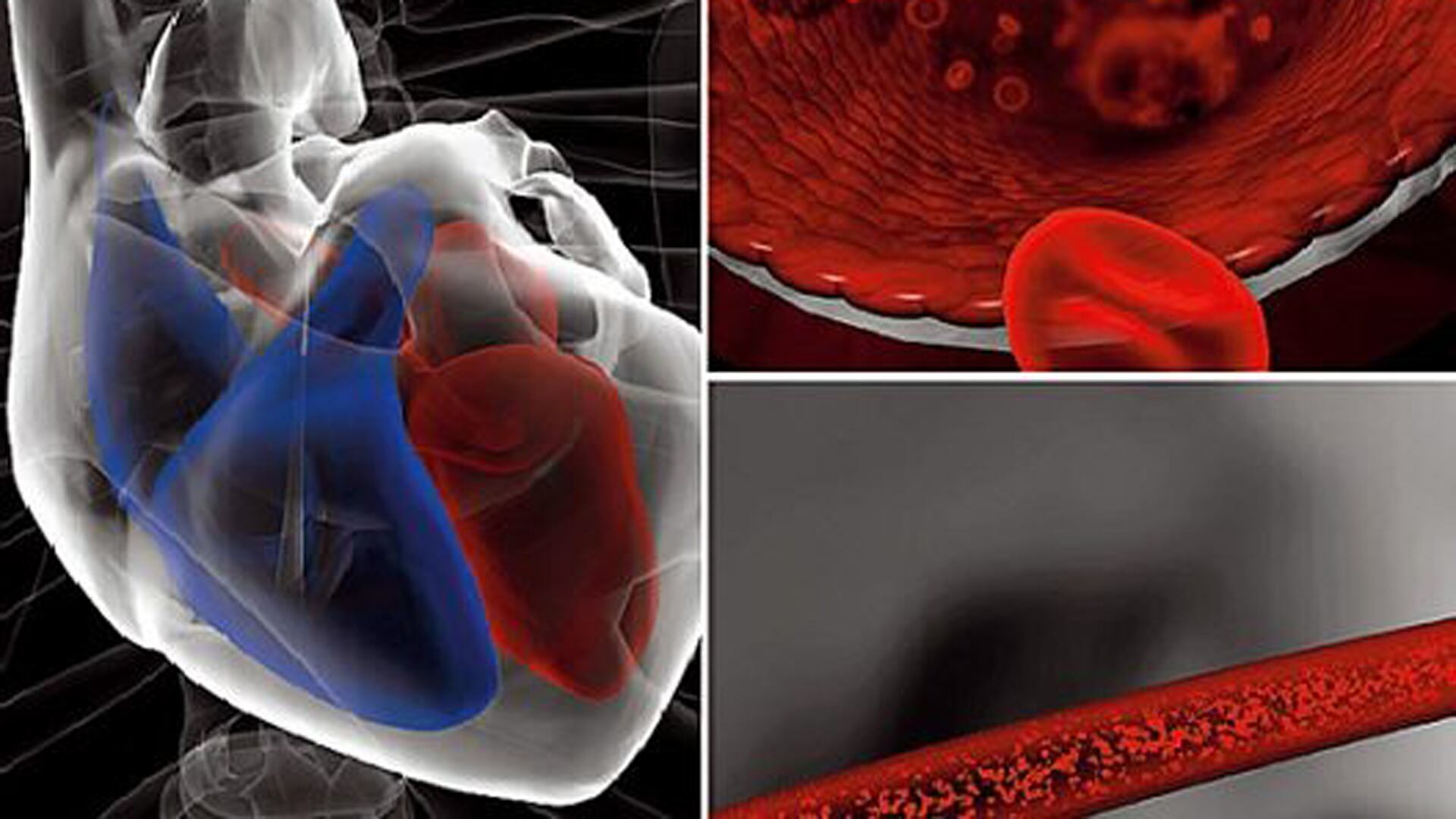 Hoy se emplean cuatro pilares farmacológicos que cambiaron la evolución de la insuficiencia cardíaca betabloqueantes ARNi gliflozinas y otras terapias combinadas