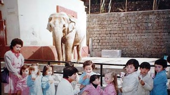 La verdadera historia de la