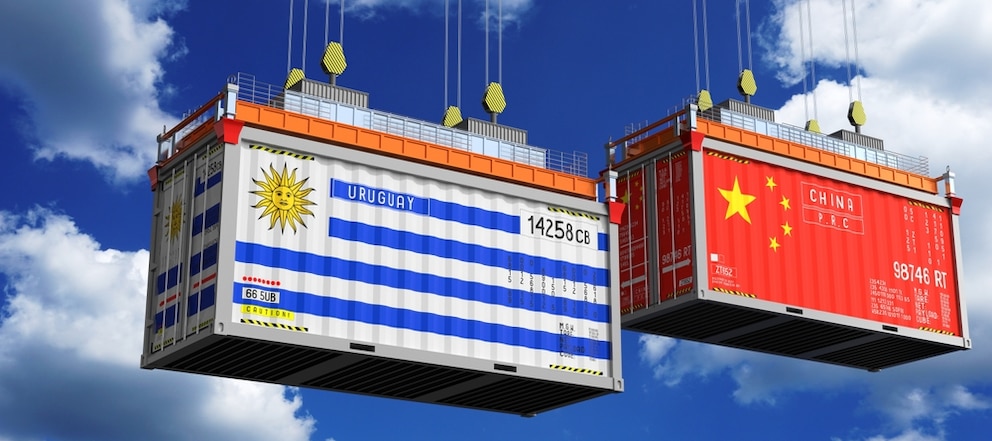 Exportaciones