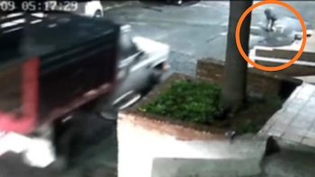 Conductor atropelló a adulta mayor y su mascota y escapó: la secuencia quedó en video