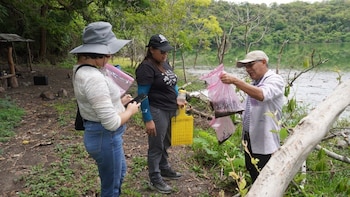 El Laboratorio Toxicológico de la UES analiza concentraciones celulares de cianobacterias, presencia de toxinas y calidad del agua en ecosistemas acuáticos de San Vicente./ (Redes de la UES)