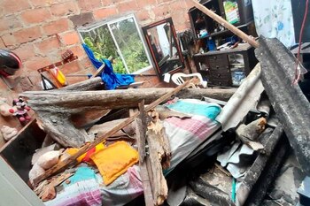 Árbol cayó sobre una casa