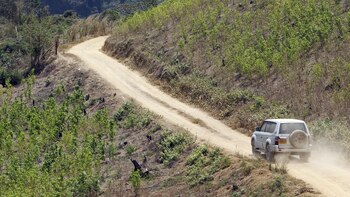 Los cultivos de coca en