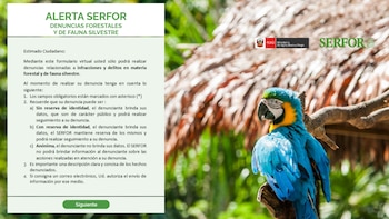 Pantalla de formulario Alerta Serfor con texto informativo y botón "Siguiente". A la derecha, un guacamayo azul y amarillo sobre una rama. Logos de Serfor y Ministerio de Agricultura de Perú