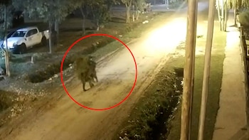 Salvaje crimen en Berisso: asesinaron