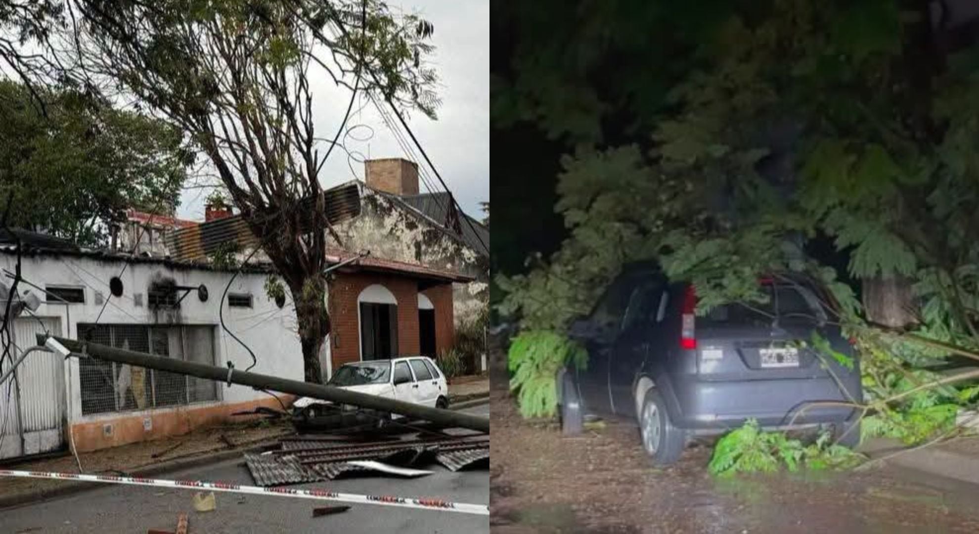 Una mujer de 76 años murió aplastada por un árbol en medio del temporal que azotó al norte de Entre Ríos
