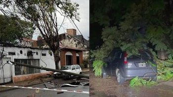 Una mujer de 76 años murió aplastada por un árbol en medio del temporal que azotó al norte de Entre Ríos