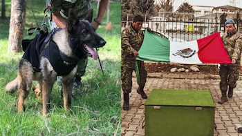 La Secretaría de Defensa Nacional