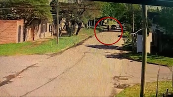 Discutió con su amigo, al día siguiente lo cruzó en la calle y lo atropelló por la espalda en Temperley