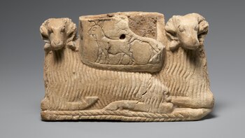 El ADN revela la historia