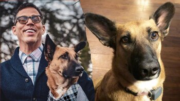 La historia de Wendy y