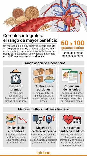 Infografía con un esquema del sistema circulatorio, tazones de granos integrales, espigas de trigo e íconos informativos sobre nutrición.