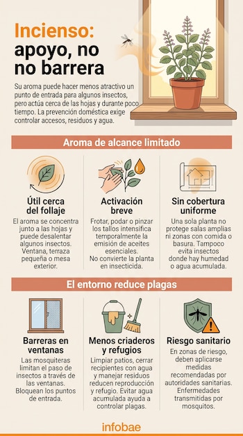 Infografía con una maceta en una ventana e iconos sobre el control de insectos y la limpieza sobre un fondo beige.