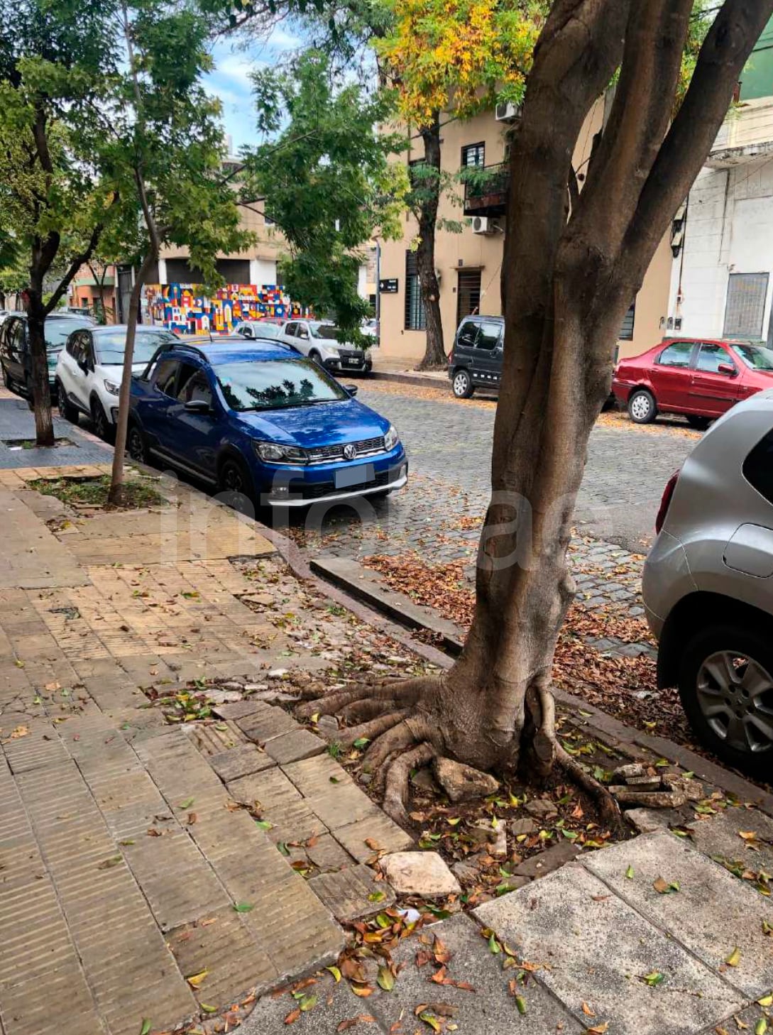 La Sala E rechazó el planteo del Gobierno porteño y aplicó la responsabilidad objetiva del titular o guardián de la cosa riesgosa o defectuosa. (Poder Judicial)