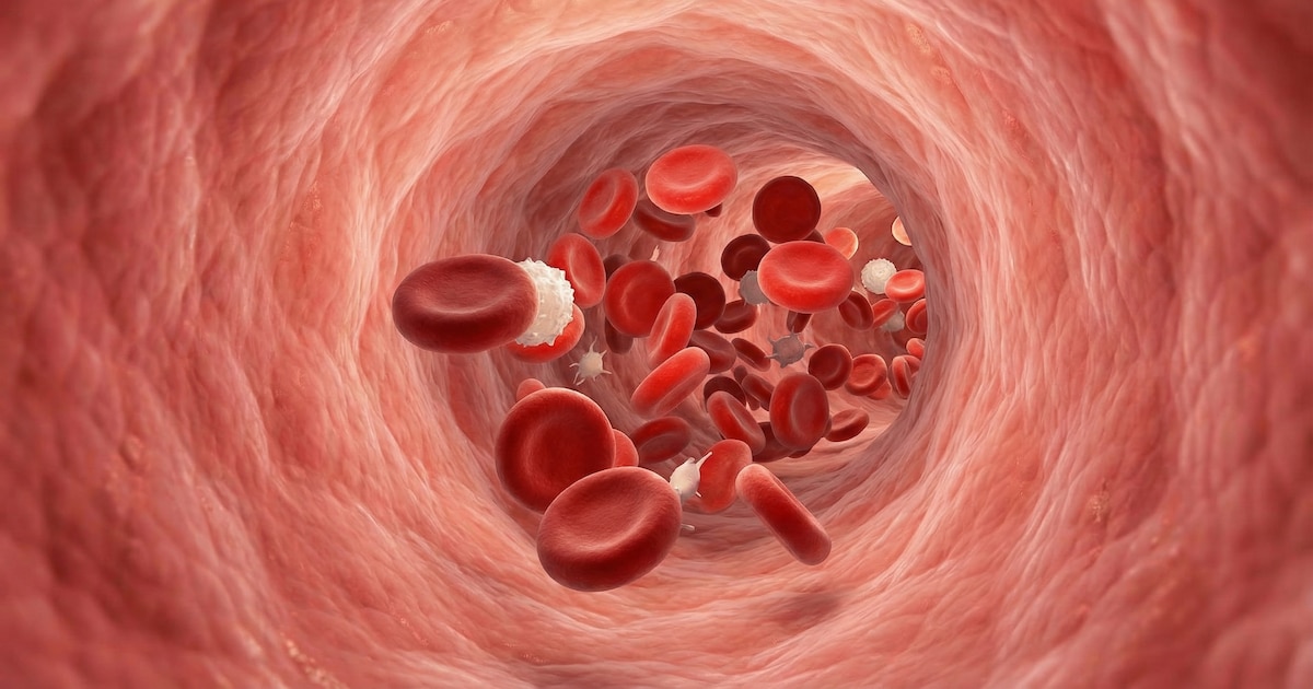 Leucemia Linfocítica Crónica: los síntomas silenciosos y los nuevos tratamientos que eliminan la quimioterapia