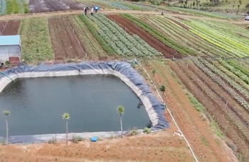 El nuevo distrito de riego busca ampliar significativamente las hectáreas agrícolas con acceso al agua. Cortesía: Captura video redes sociales Presidencia de la República
