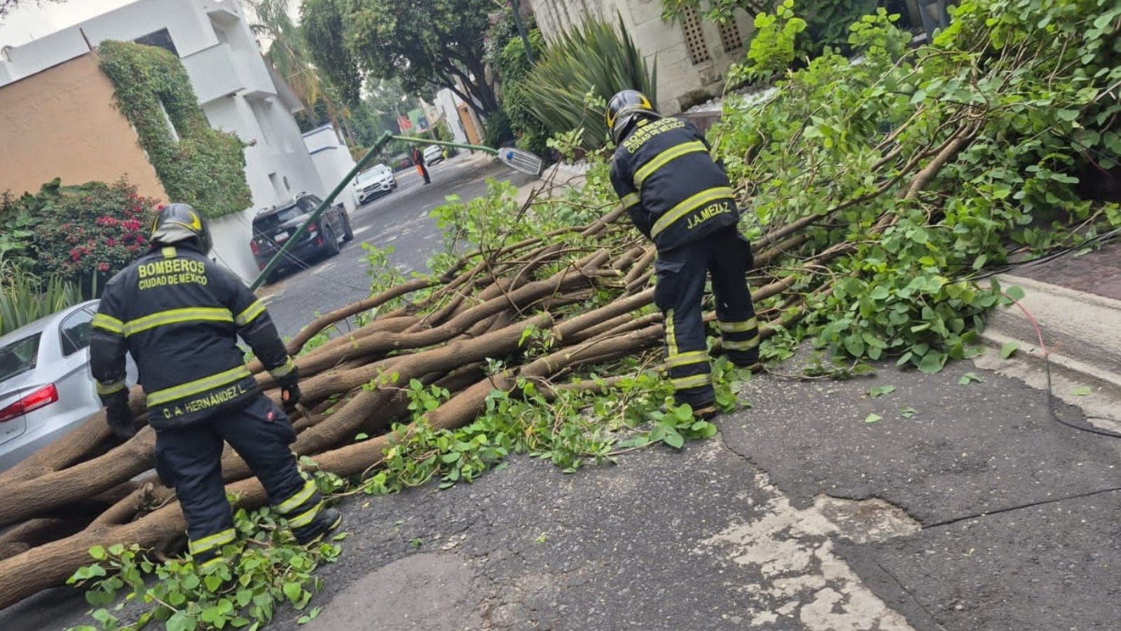Caen árboles y cables en CDMX por vientos intensos en estas alcaldías