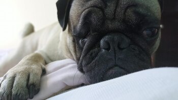 Des voleurs trompent un adolescent