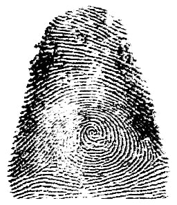 La identificación de Francisca Rojas mediante dactiloscopía revolucionó los métodos policiales y judiciales en Argentina y el mundo (Wikimedia)