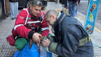 El fuego tomó un piso de un edificio en Colegiales y cinco personas tuvieron que ser atendidas