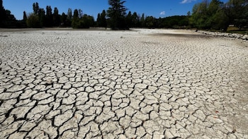 Desarrollaron un modelo de inteligencia