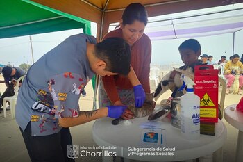 Campaña veterinaria en Chorrillos atendió