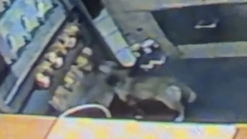 Captura de pantalla de una cámara de seguridad que muestra a un perro de pelaje claro junto al mostrador de un establecimiento