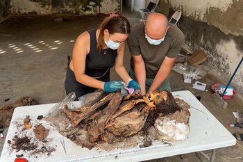 Del total de fardos funerarios