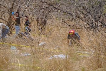 Cuerpos de bomberos colaboraron en el rescate de los cuerpos. Crédito: Gobierno de Nayarit.