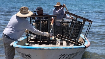 En México no había una