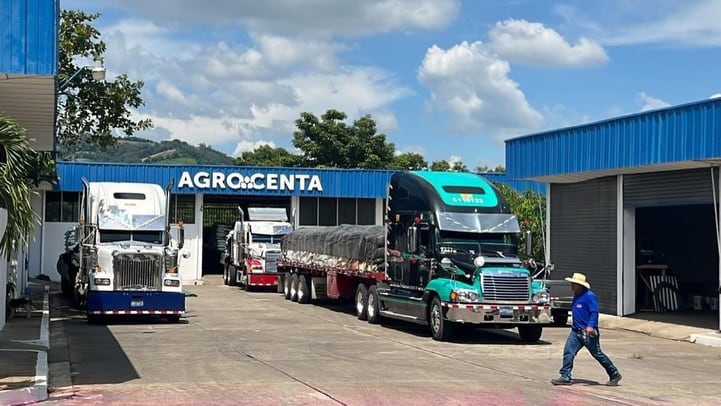 La distribución de insumos agrícolas será temporal y busca estabilizar los precios de alimentos básicos en El Salvador. (Cortesía: Óscar Domínguez)