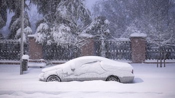 Colombiana, una de las víctimas