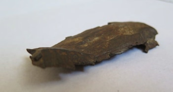 Metralla que Marcos Guida trajo