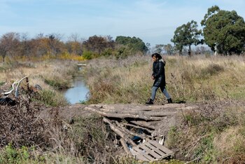Vilma cruza el improvisado puente
