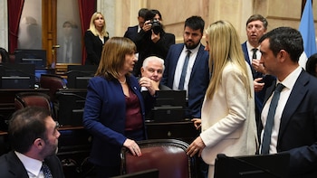 Senado: libertarios destraban leyes y alivian la agenda de cara al tramo final de sesiones ordinarias