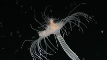 Científicos de la Universidad de