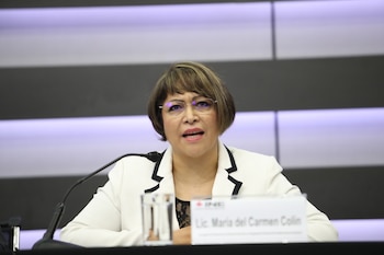 María del Carmen Colín Martínez queda al frente de Organización Electoral del INE.