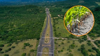 Gobierno de Honduras destinará 2 millones de dólares para asistencia alimentaria en el Corredor Seco