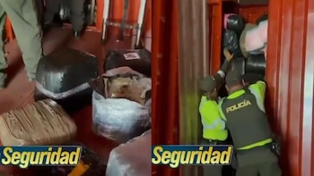 Golpe al narcotráfico en Sucre: Policía logró la incautación de casi una tonelada de marihuana
