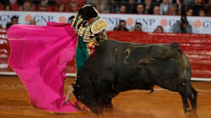 Suspenden corridas de toros en la Plaza México, otra vez